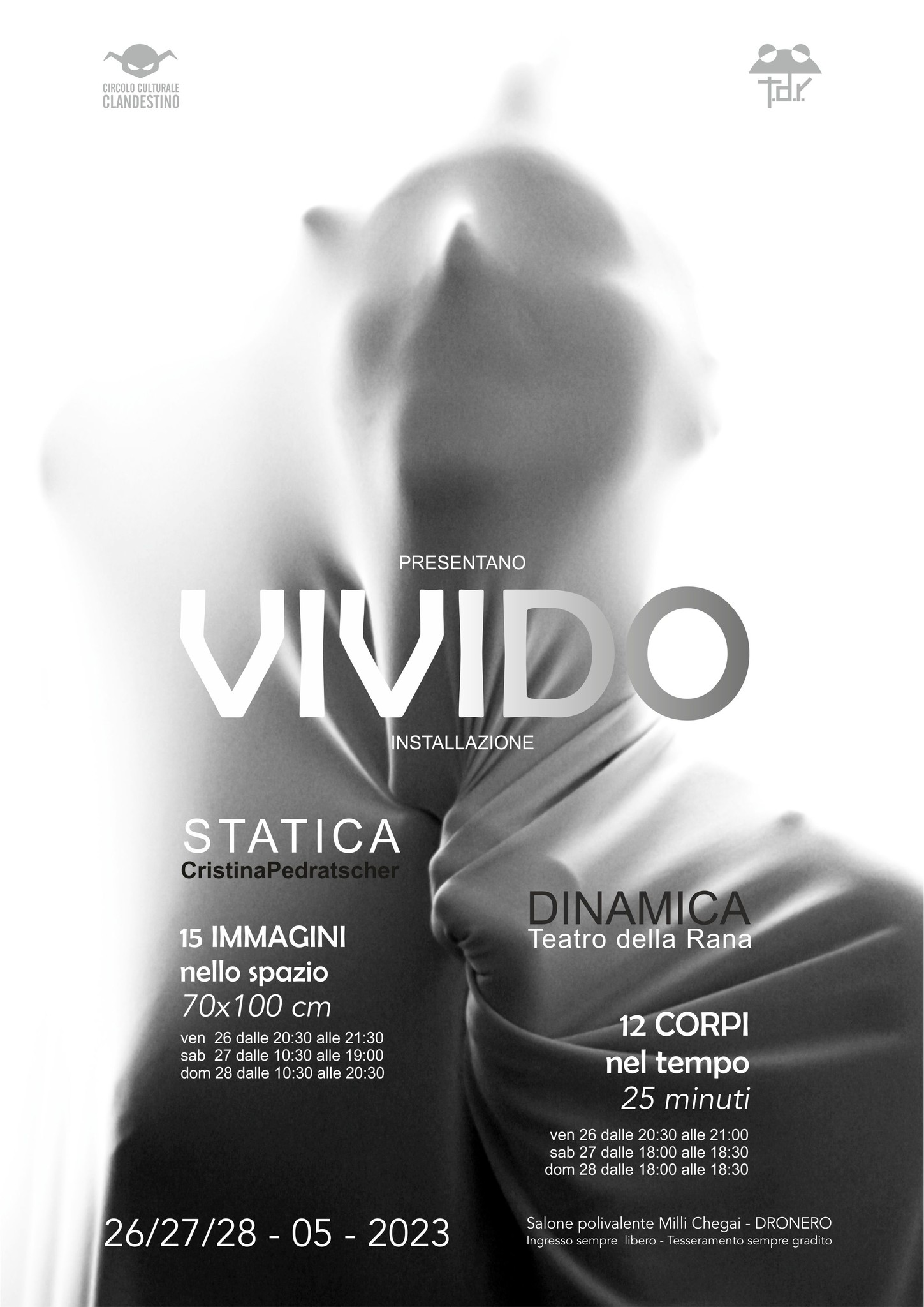vivido_locandina
